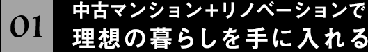 中古マンション+リノベーションで理想の暮らしを手に入れる