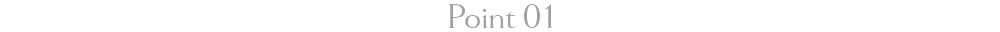 Point 01