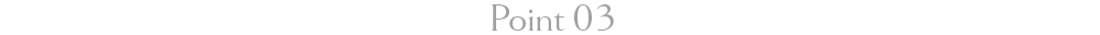 Point 03