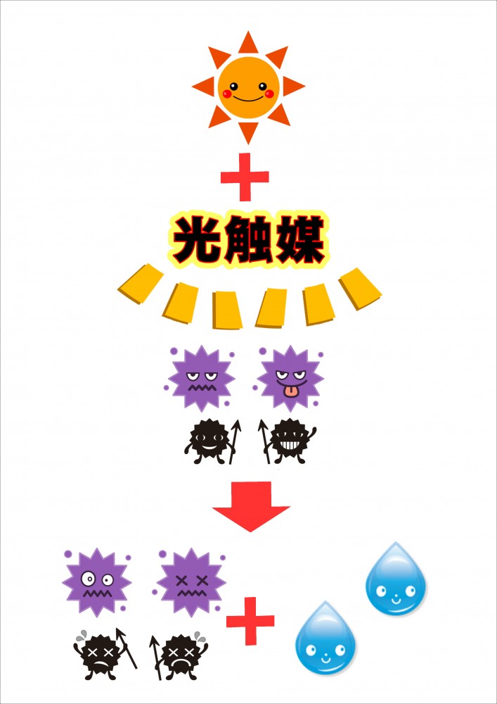 当店は 屋内に光触媒塗料を使用しています 株式会社 紀陽